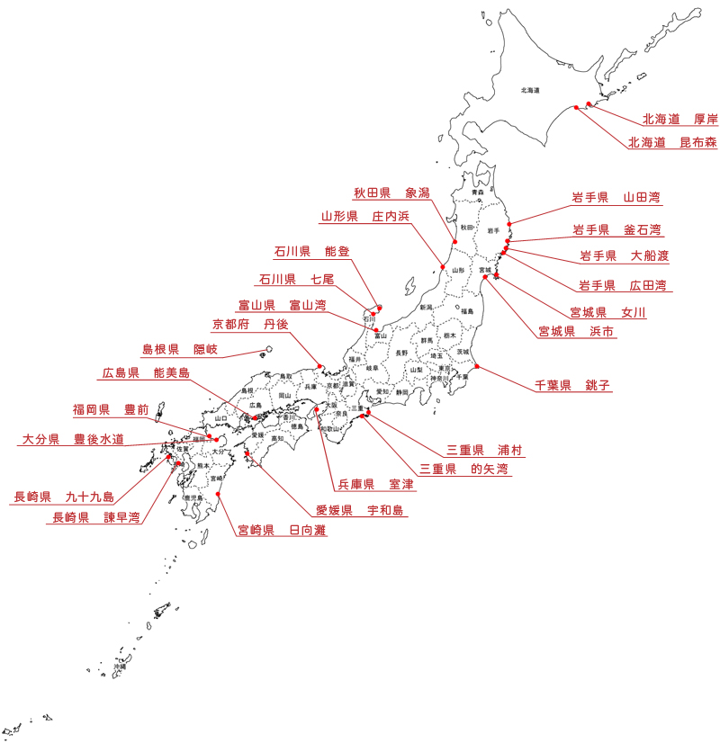 産地直送の牡蠣